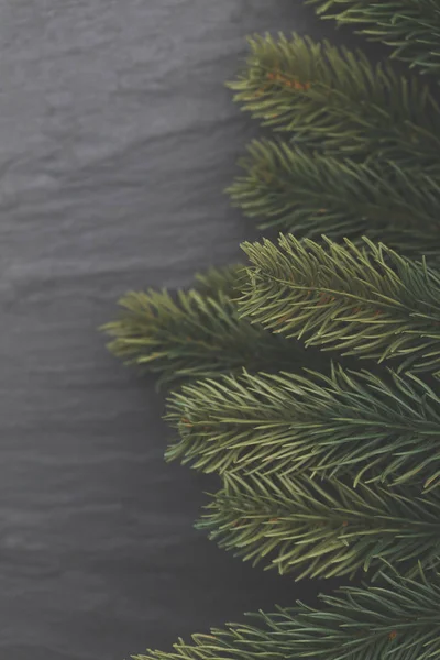 Christbaumzweige auf Schiefergrund — Stockfoto