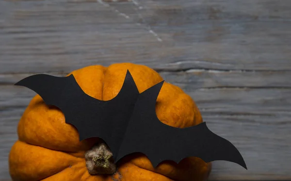 Хеллоуїн гарбуз і чорна вампірська кажана на дерев'яному фоні — стокове фото