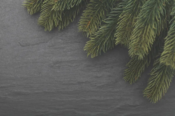 Διακλαδώσεις χριστουγεννιάτικων δέντρων σε φόντο σχιστόλιθου — Φωτογραφία Αρχείου