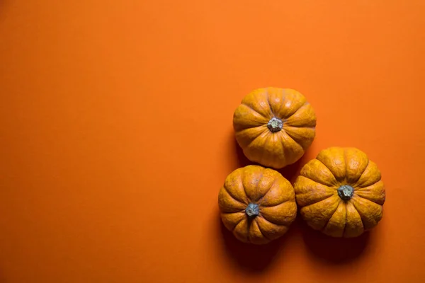 Pequenas abóboras em um contexto laranja brilhante. Halloween e obrigado — Fotografia de Stock