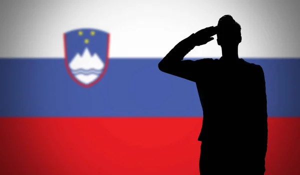 슬로베니아 기에 경례하는 군인의 실루엣 — 스톡 사진