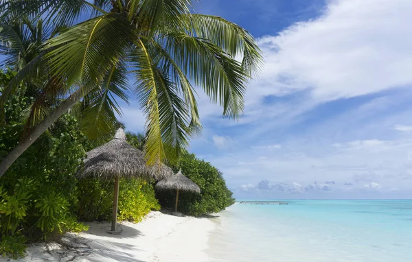 Maldivlerde tropikal plaj
