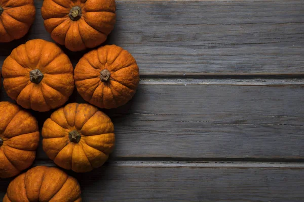 Mini balkabakları ahşap bir arka planda dizilmiş.