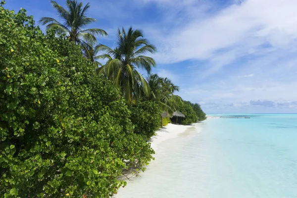 Tropisch strand in de Malediven — Stockfoto