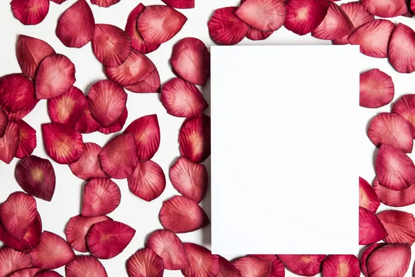 Üres fehér kártya vörös rózsaszirom háttérrel. Romantikus valens — Stock Fotó