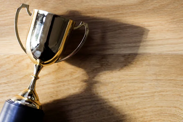 Gold winners trophy award on a wooden background — Stock Photo, Image