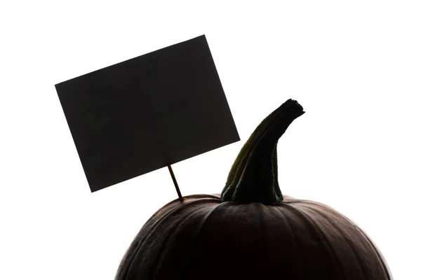 Silueta de calabaza de Halloween sobre un fondo blanco liso — Foto de Stock