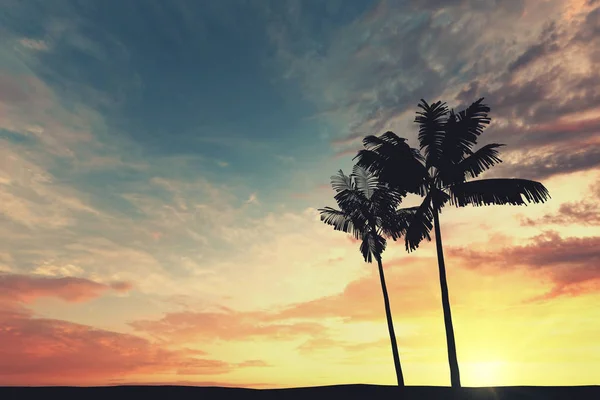 Tropik palmiye ağacı silueti gün batımında gökyüzüne karşı. 3d oluşturma — Stok fotoğraf