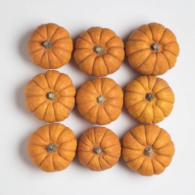 Mini minnoş balkabağı şenlik arka planı