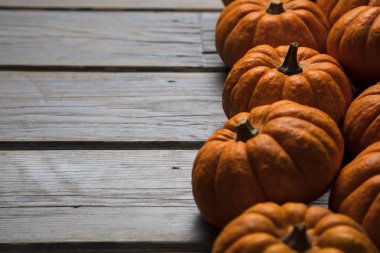 Mini balkabakları ahşap bir arka planda dizilmiş.