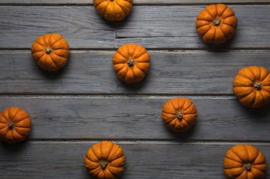 Mini balkabakları ahşap bir arka planda dizilmiş.