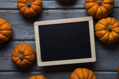 Mini balkabakları ahşap bir arka planda dizilmiş.