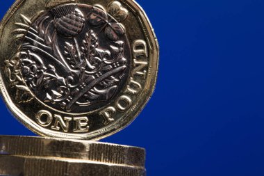 İngiliz sterlini 1 pound para birimi