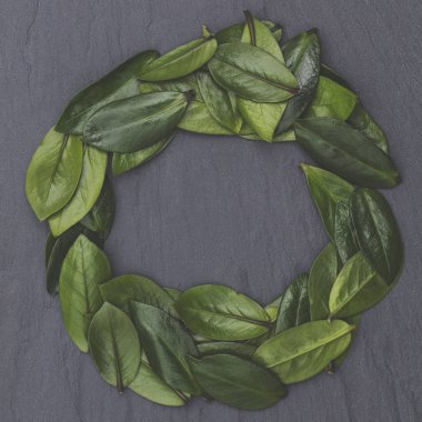 Arkaplanda yeşil yapraklar var. Doğa konsepti