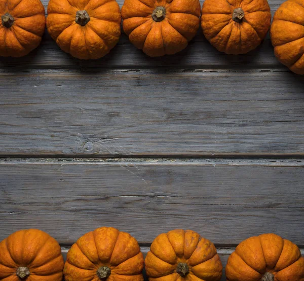 Mini balkabakları ahşap bir arka planda dizilmiş.