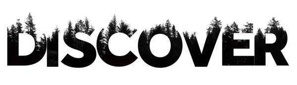 Discover word made from outdoor wilderness treetop lettering — Stock Photo, Image
