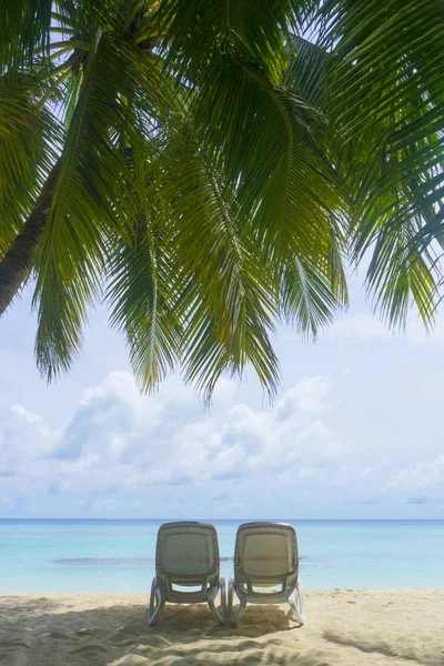 Tropisch strand. Ligstoel ligstoel op een strand. Zomerholida — Stockfoto