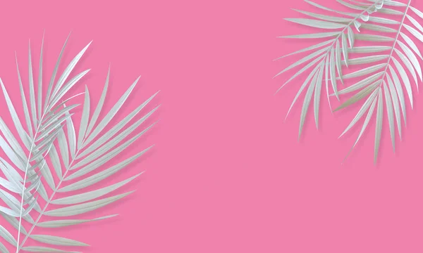 Folha de palmeira branca tropical fundo abstrato brilhante. Exótico — Fotografia de Stock