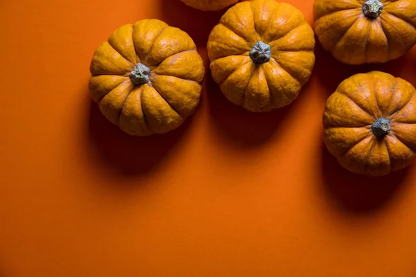 Pequenas abóboras em um contexto laranja brilhante. Halloween e obrigado — Fotografia de Stock