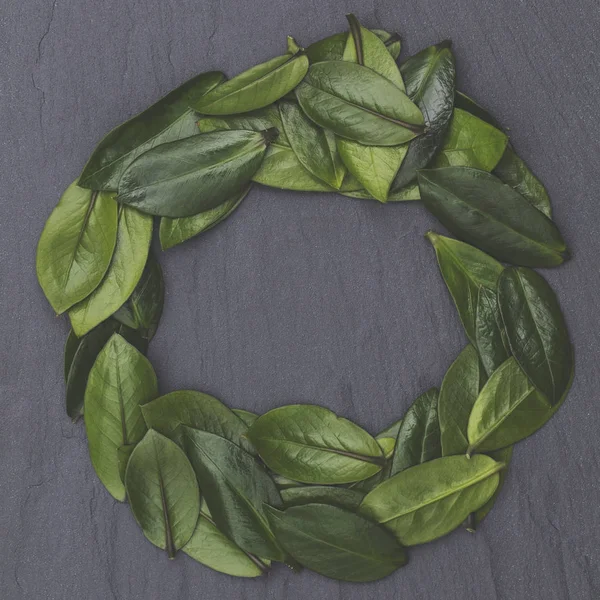 Arkaplanda yeşil yapraklar var. Doğa konsepti