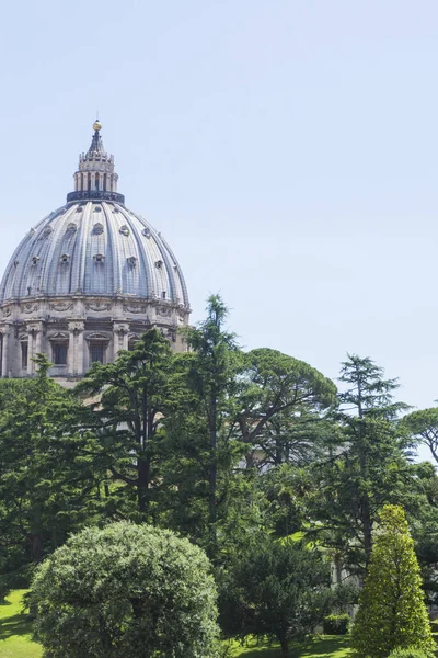 Widok na bazylikę św. Piotra w Watykanie, Rzym, Włochy — Zdjęcie stockowe