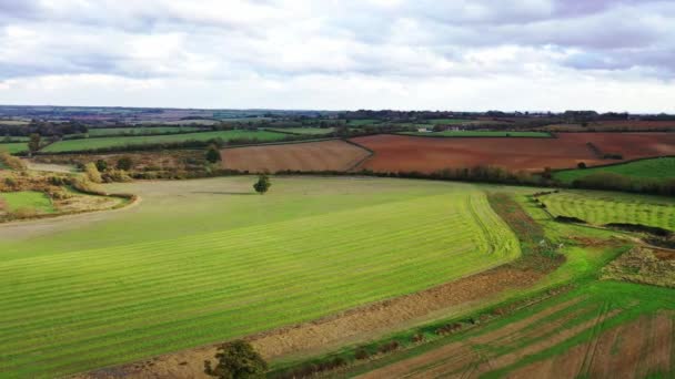 Vuelo Con Drones Sobre Campos Verdes Reino Unido — Vídeos de Stock