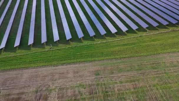 Elektrownia Słoneczna Widok Lotu Ptaka Panele Słoneczne — Wideo stockowe