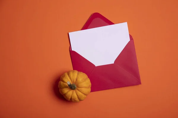 Tarjeta de halloween blanco en blanco con calabazas y arañas . — Foto de Stock