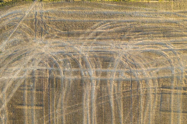 Aerial view looking directly down onto a frshly harvested corn field — Stock Photo, Image
