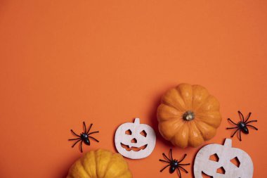 Kabaklı ve örümcekli turuncu cadılar bayramı arkaplanı