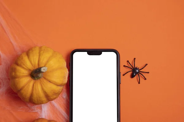 호박 과 거미가 있는 백지 스마트폰 스크린 — 스톡 사진