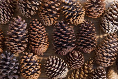 Şenlikli Noel kozalakları koleksiyonu