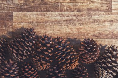 Şenlikli Noel kozalakları koleksiyonu