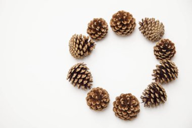 Beyaz arkaplanda çam kozalağı düzenleme. 