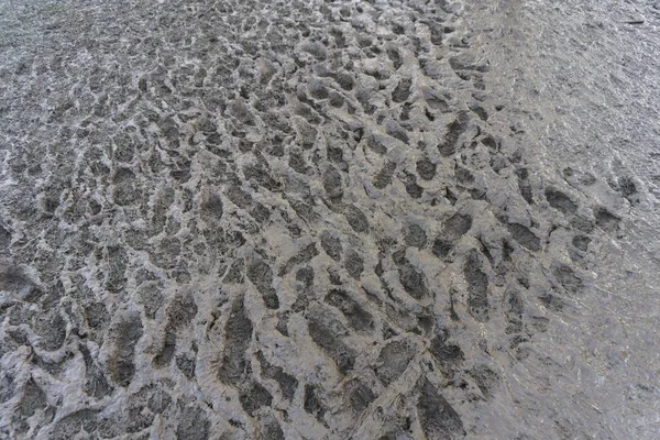 Empreintes de pas dans la boue lors d'un festival de musique — Photo