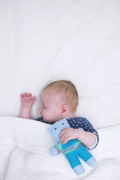 Un lindo niño durmiendo bajo una manta abrazando a un osito de peluche de punto —  Fotos de Stock