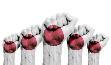 Japon bayrağıyla boyanmış bir protestocunun yumruğu.