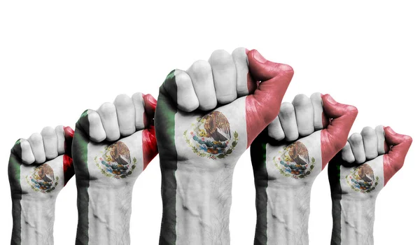 Meksika bayrağıyla boyanmış bir protestocunun yumruğu. — Stok fotoğraf