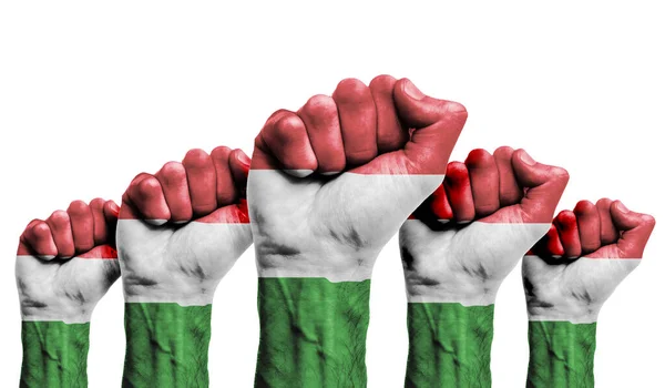 A raised fist of a protesters painted with the Hungary flag — Stock Photo, Image