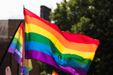 Gay gururu, LGBTQ gökkuşağı bayrakları havada sallanıyor