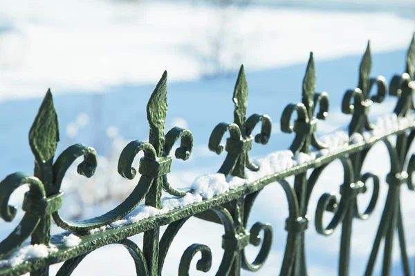 Green metal decorative fence in the snow