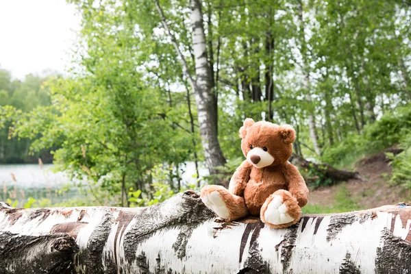 teddy bear sitting on blurred background, animal doll for kid
