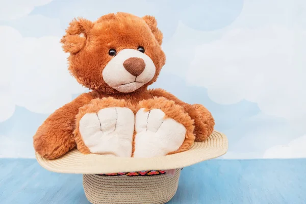 Stuffed toy funny teddy bear sits in straw summer hat on bly sky background