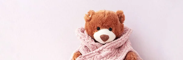 Cute classic teddy bear in knitted sweater on light pink background. New year or Christmas template for website with place for text. Warm cozy winter home concept. Banner for website header design.