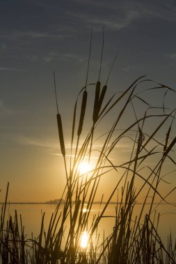 gökyüzü günbatımı güneş Gölü çimen üzerinde fişekleri