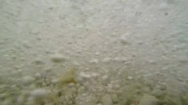 Su altında dalga deniz kaya