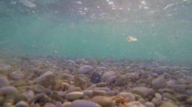 Su altında dalga deniz kaya