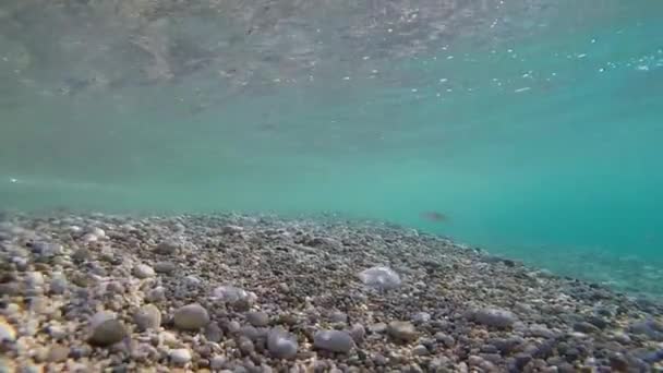 Rocas Marinas Bajo Las Olas Del Agua — Vídeo de stock