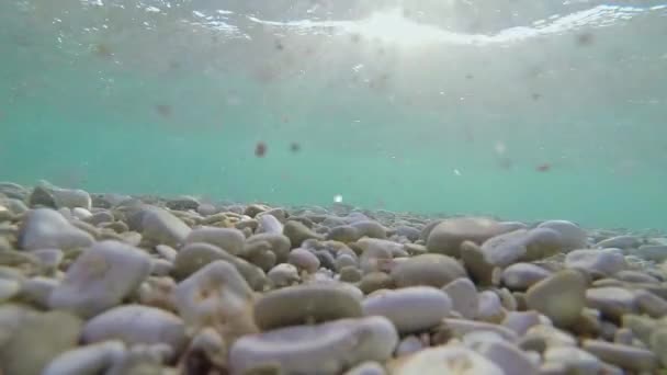 Rochers Mer Dans Eau Sous Vague — Video