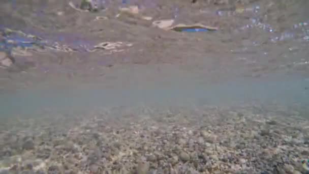 Rocas Marinas Agua Bajo Las Olas — Vídeo de stock